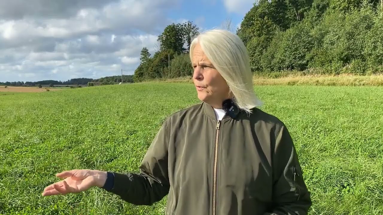 Green Valleys   Utvecklingsplattform för grön bioraffinering