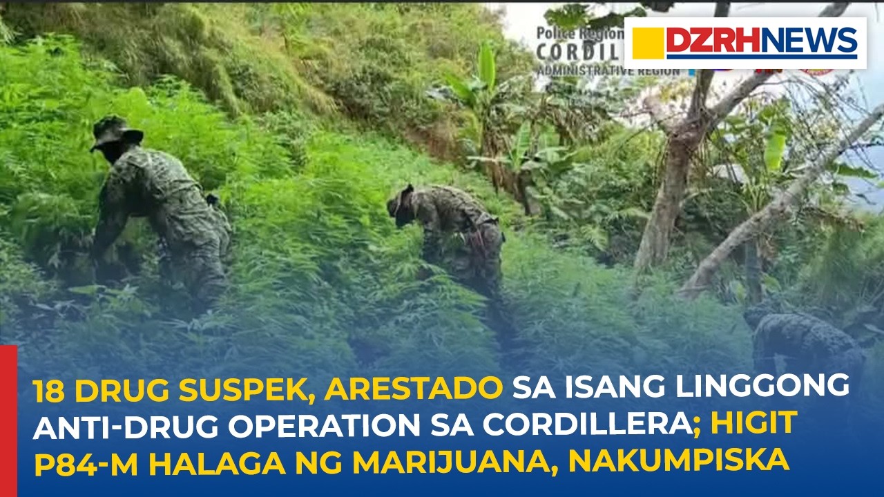 18 drug suspek, arestado sa Cordillera; higit P84-M halaga ng marijuana, nakumpiska