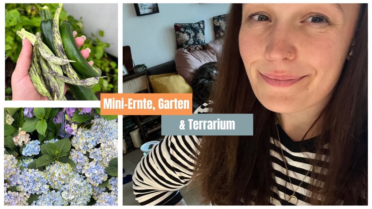 Mini-Ernte, Garten & Terrarium | Weekly Vlog 41/2026
