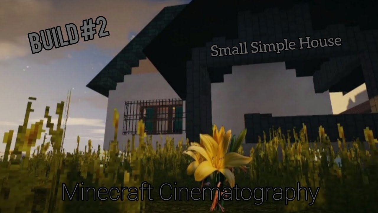 Architectural Cinematography | Small Simple House | Build #2 | Zyno Builds