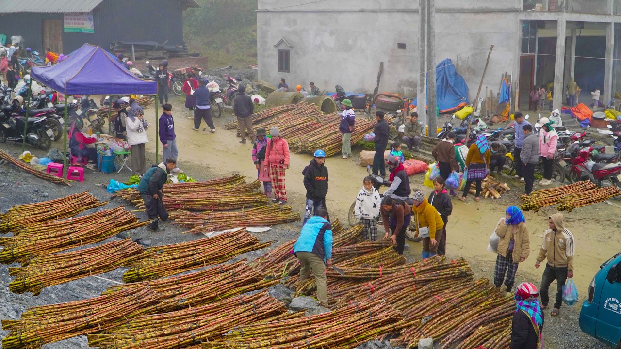Discover the unique experience of the Can Cau year-end market in Northwest Vietnam.