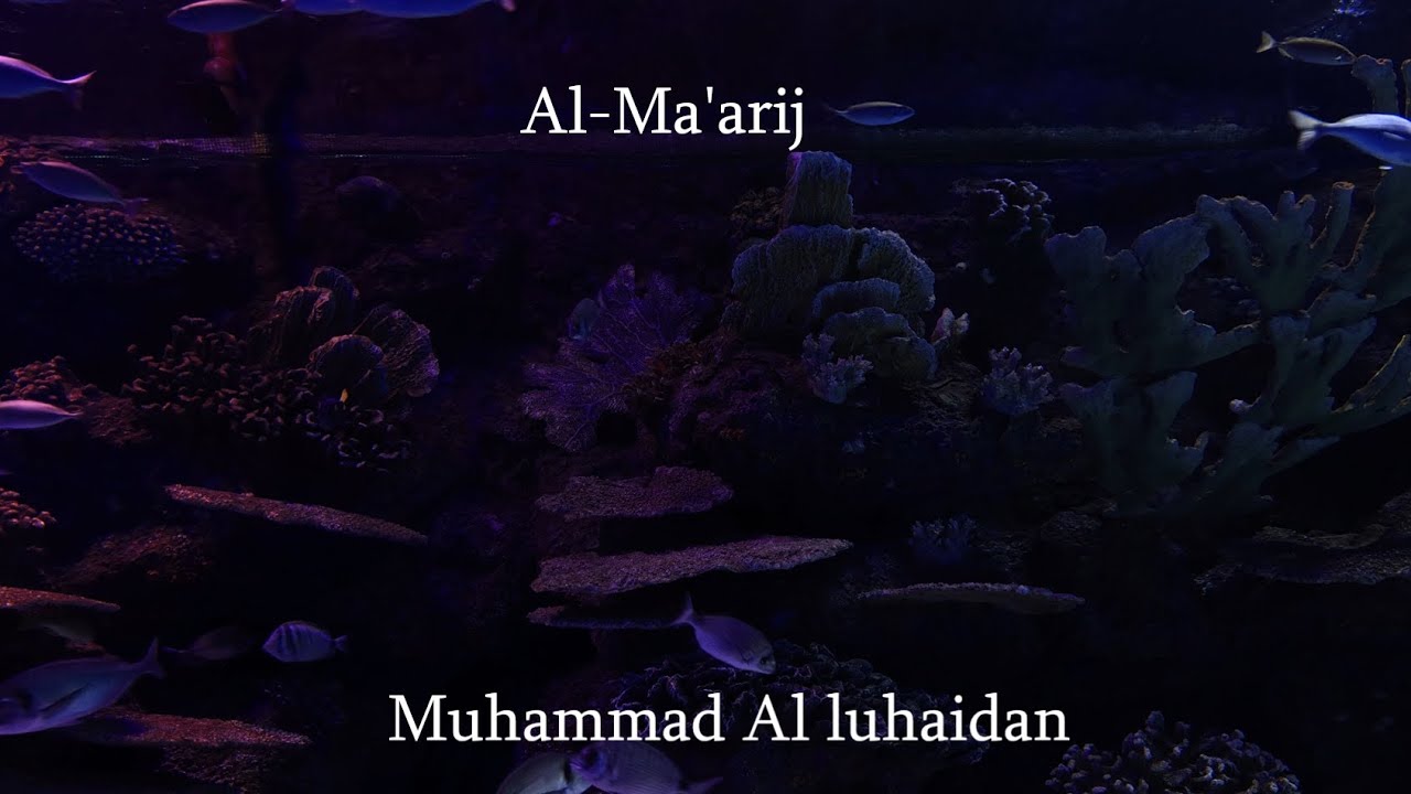 Sourate Al-Ma'arij (Les Voies C&eacute;lestes) r&eacute;cit&eacute;e par Muhammad Al Luhaidan avec le sens en fran&ccedil;ais