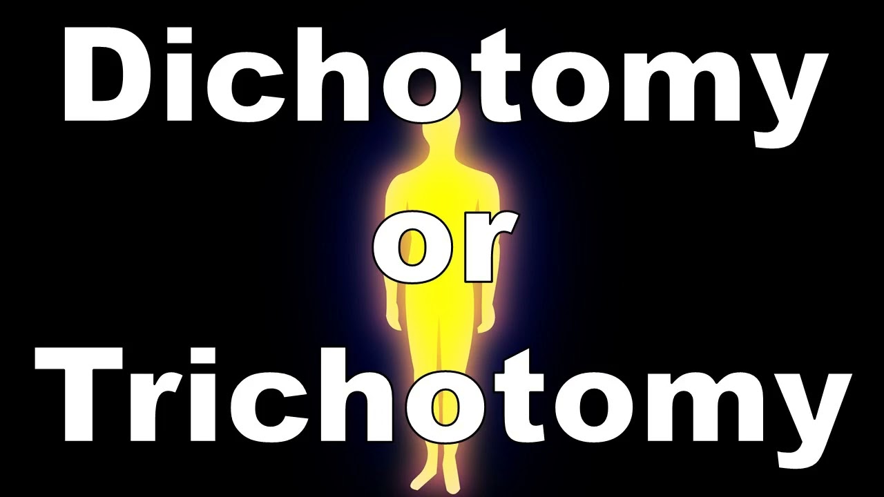 Dichotomy or Trichotomy? [Scriptum #18]