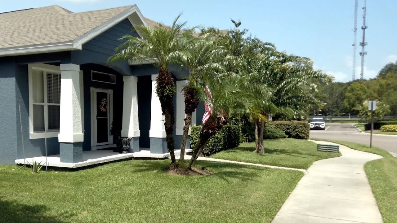 Florida Walk with Calming Ambient Sounds for Sleep Study Relax, Winter Oaks · Orlando Suburbs 4K