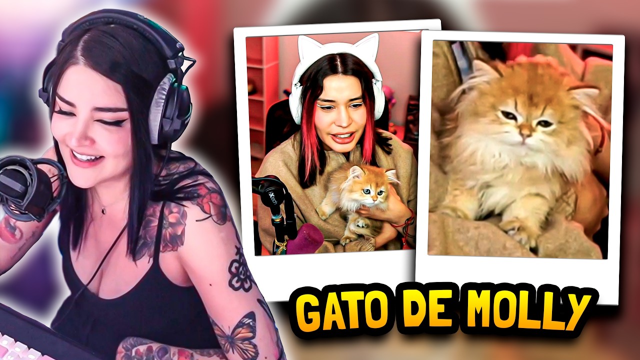 CAPRI REACCIONA AL NUEVO GATO DE MOLLY 😸