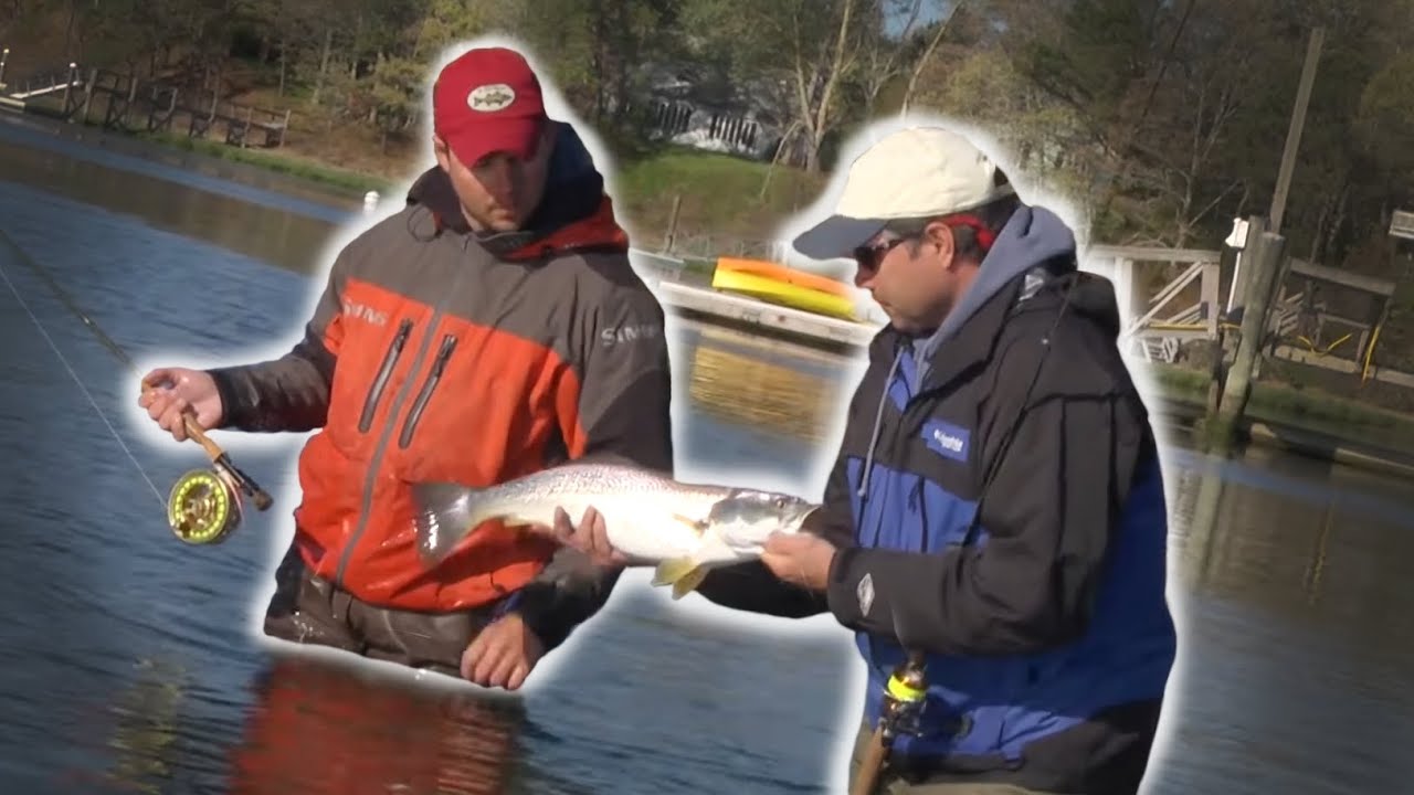 Cape Cod Weakfish | S11 E4