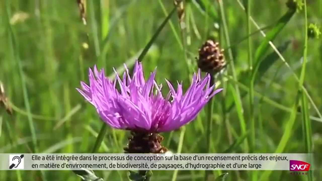 Présentation générale de la LGV Est européenne