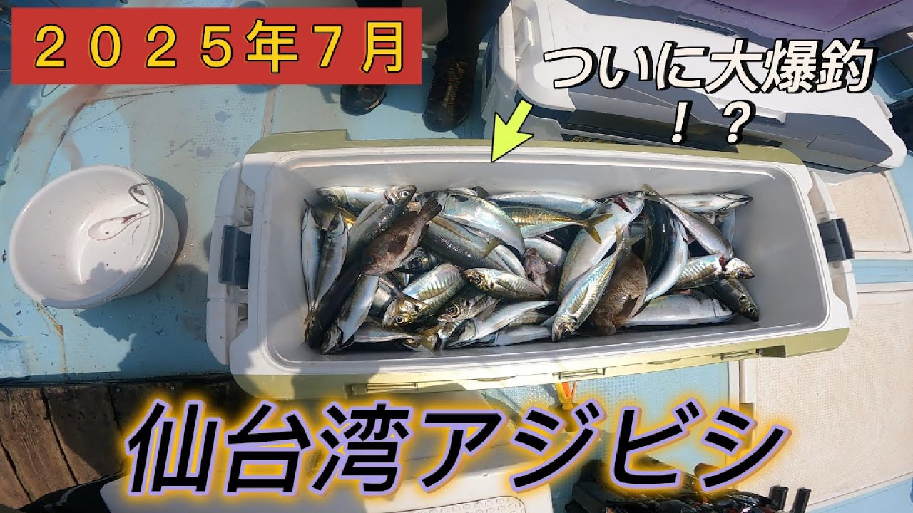 🎣【2025年7月 仙台湾アジビシ】非モテ、ついに“無限アジフライ”モード突入！？