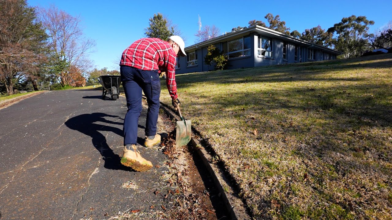 Where Do I Start with 12 Acres? // Clean up Time