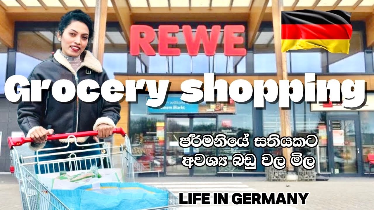 ජර්මනියේ සතියකට අවශ්‍ය බඩු වල මිල| Gocery shopping in Germany| Weekly Grocery shopping