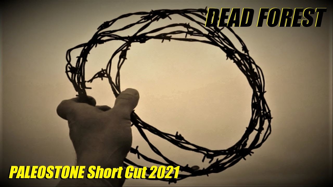 DEAD FOREST ... (PALEOSTONE Short Cut 2021)