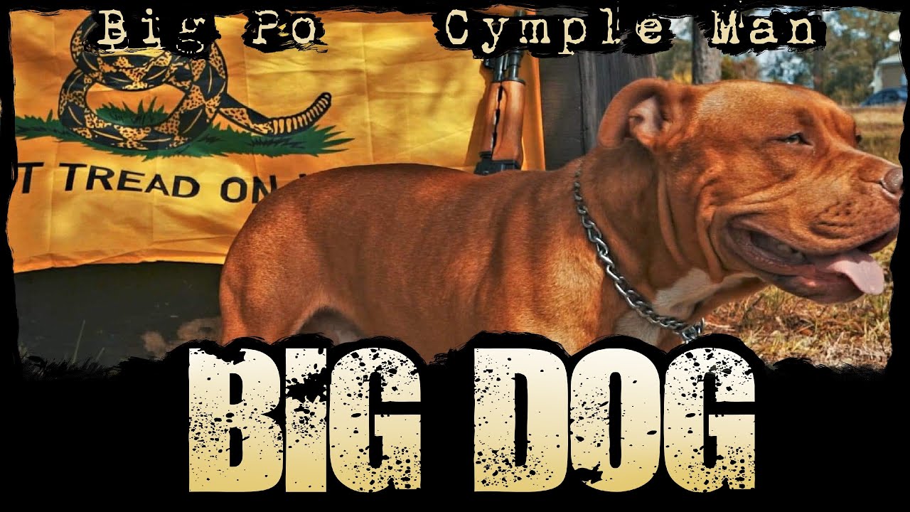 BIG PO - BIG DOG (feat. Cymple Man)   [OFFICIAL MUSIC VIDEO ]