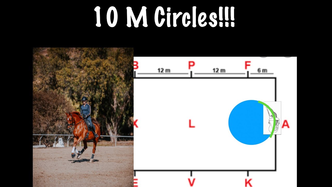 10 meter canter circles