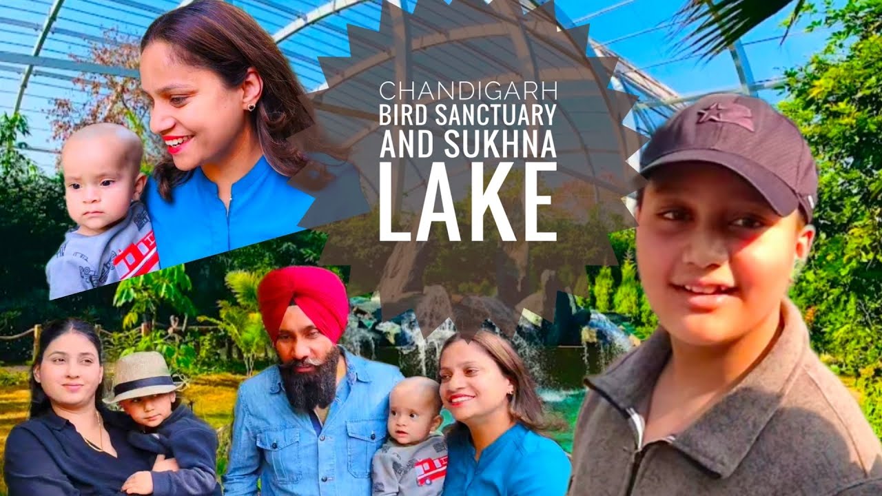 Chandigarh Bird Sanctuary and Sukhna Lake l Family Timeout @VivanArzoiBLVMotionPictures