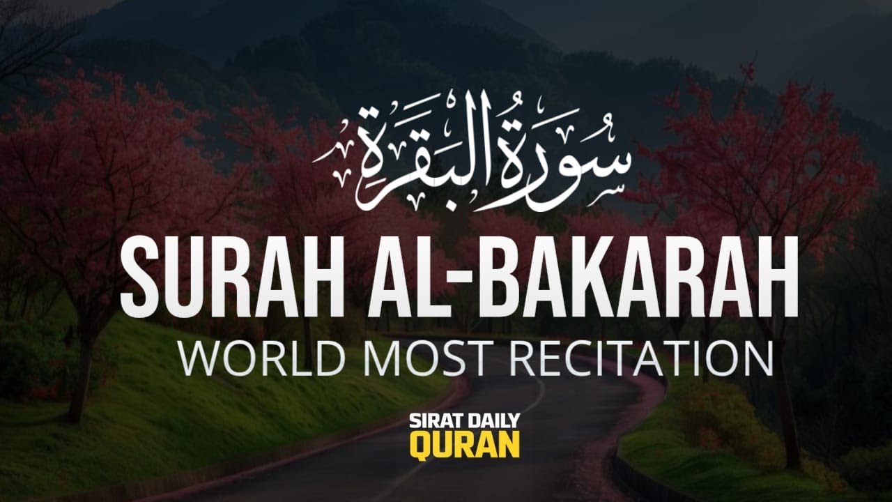 Surah Al-Baqarah | Listen Daily for Blessings | Recitation by Qari Ala Aqel | Sirat Daily Quran 