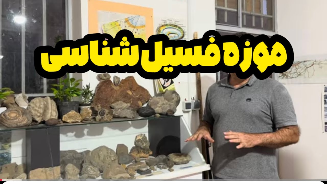 یه سفر هیجان‌انگیز به دل میلیون‌ها سال قبل🦖موزه فسیل‌شناسی جاییه که تاریخ زنده می‌شه و زمین برات قصه