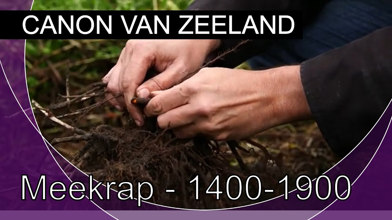 De canon van Zeeland: Meekrap - 1400-1900