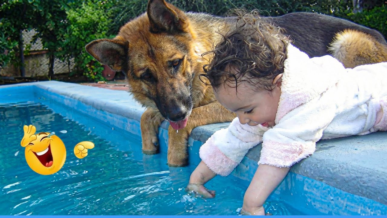 Best Of The Funny Animal Videos 😹🐶 The Funniest Cat & Dog Moments Compilation 🐾