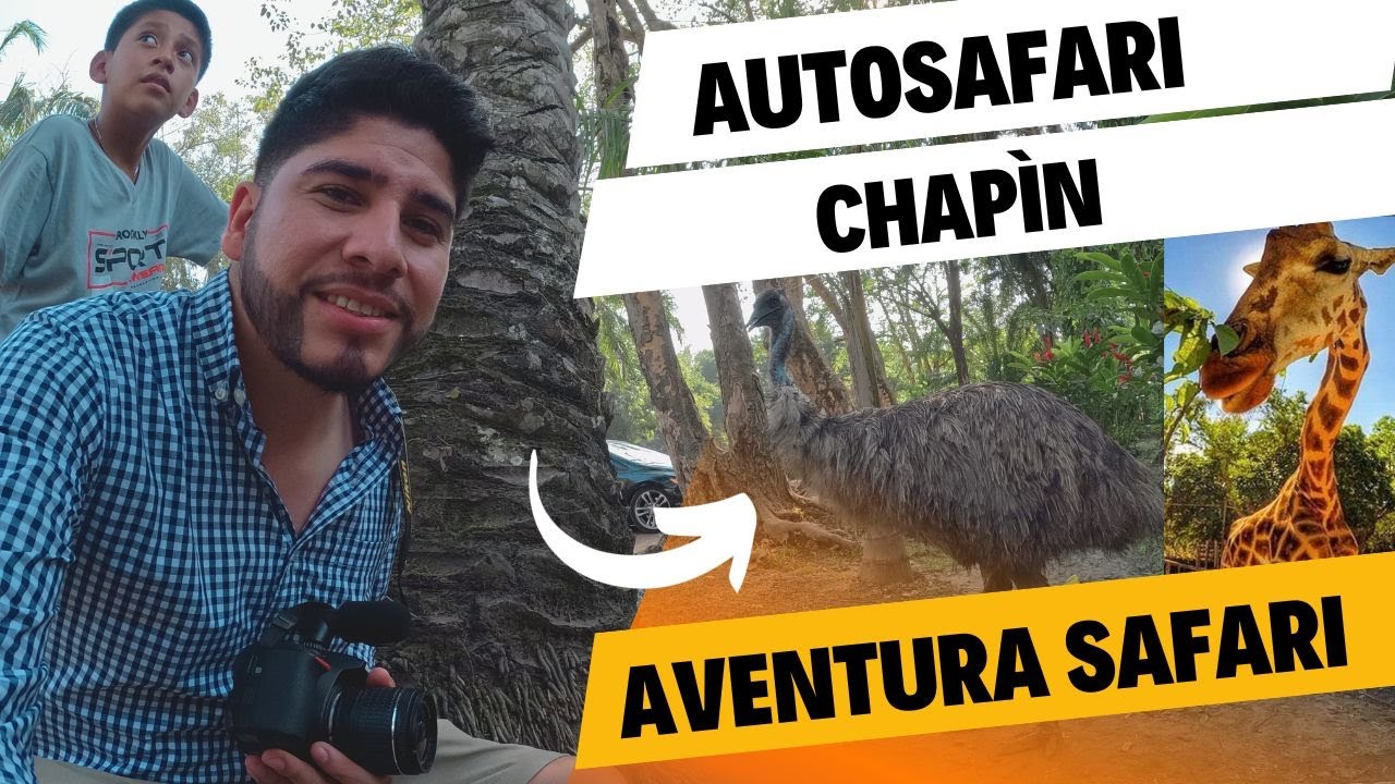 Aventura Safari      #autosafarichapin #safari #zoology #vlog @herberlucho