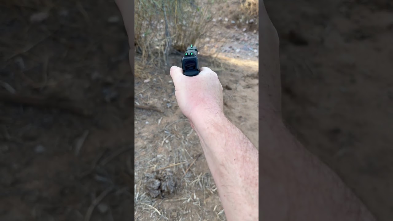 Glock 36