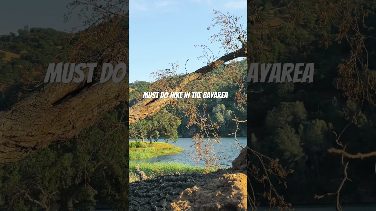 Del Valle Regional Park is a must-do hike in the Bay Area! #hiking #california