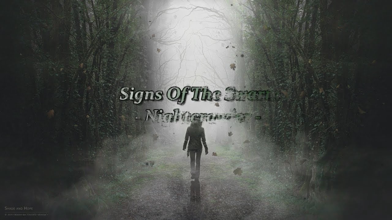 Insanity Breakdowns 2018