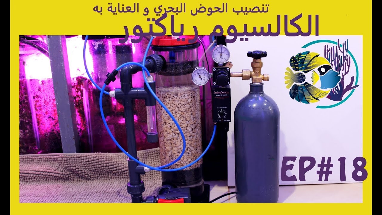 #18 تنصيب الحوض البحري و العناية به - الكالسيوم رياكتور (مفاعل الكالسيوم)