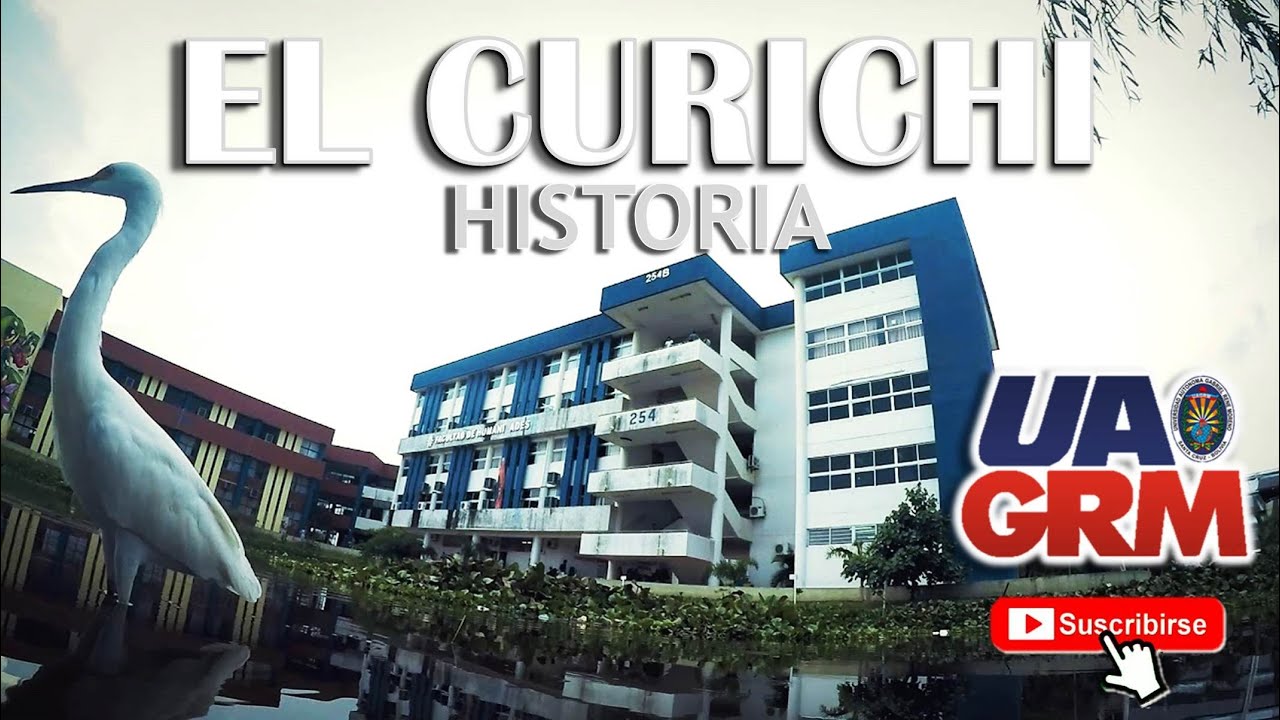 Historia del Curichi de 