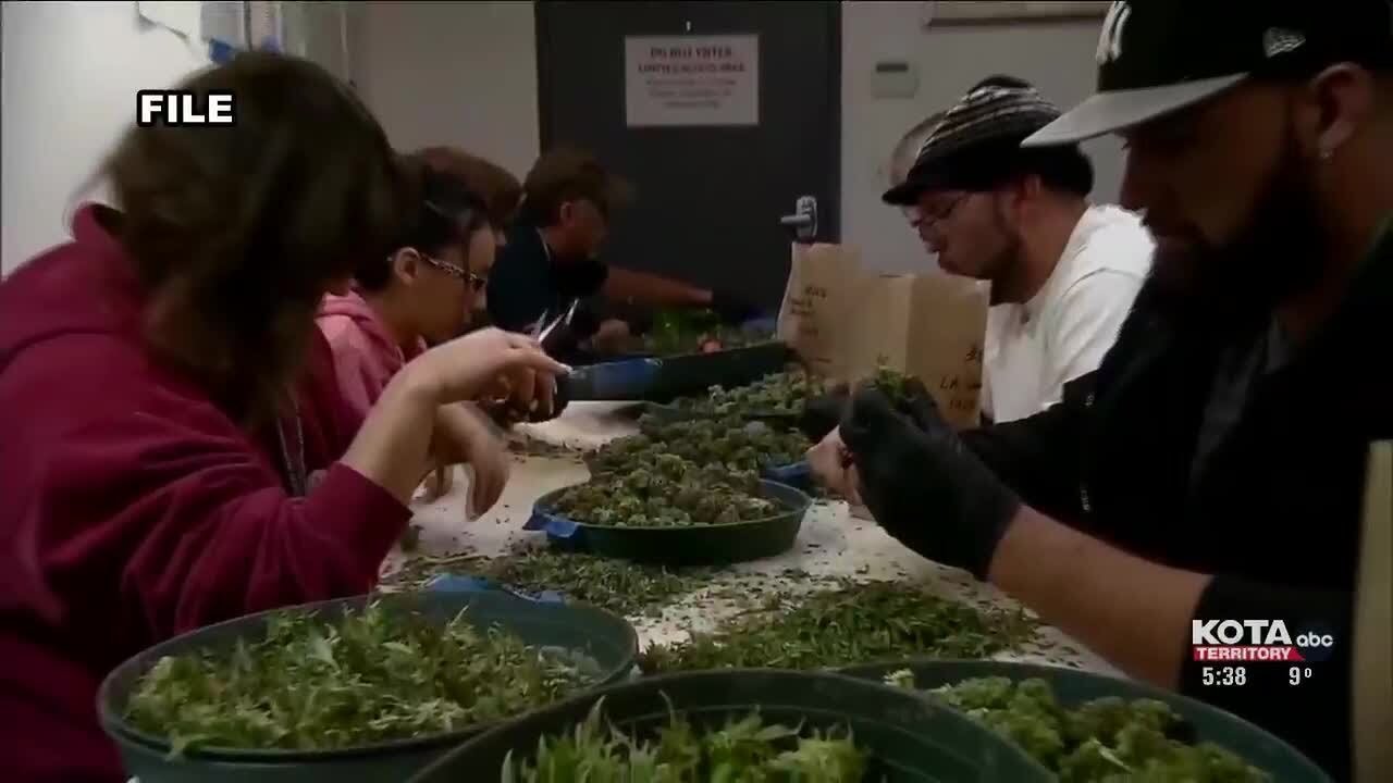 Planning Commission approves two cannabis dispensary proposals