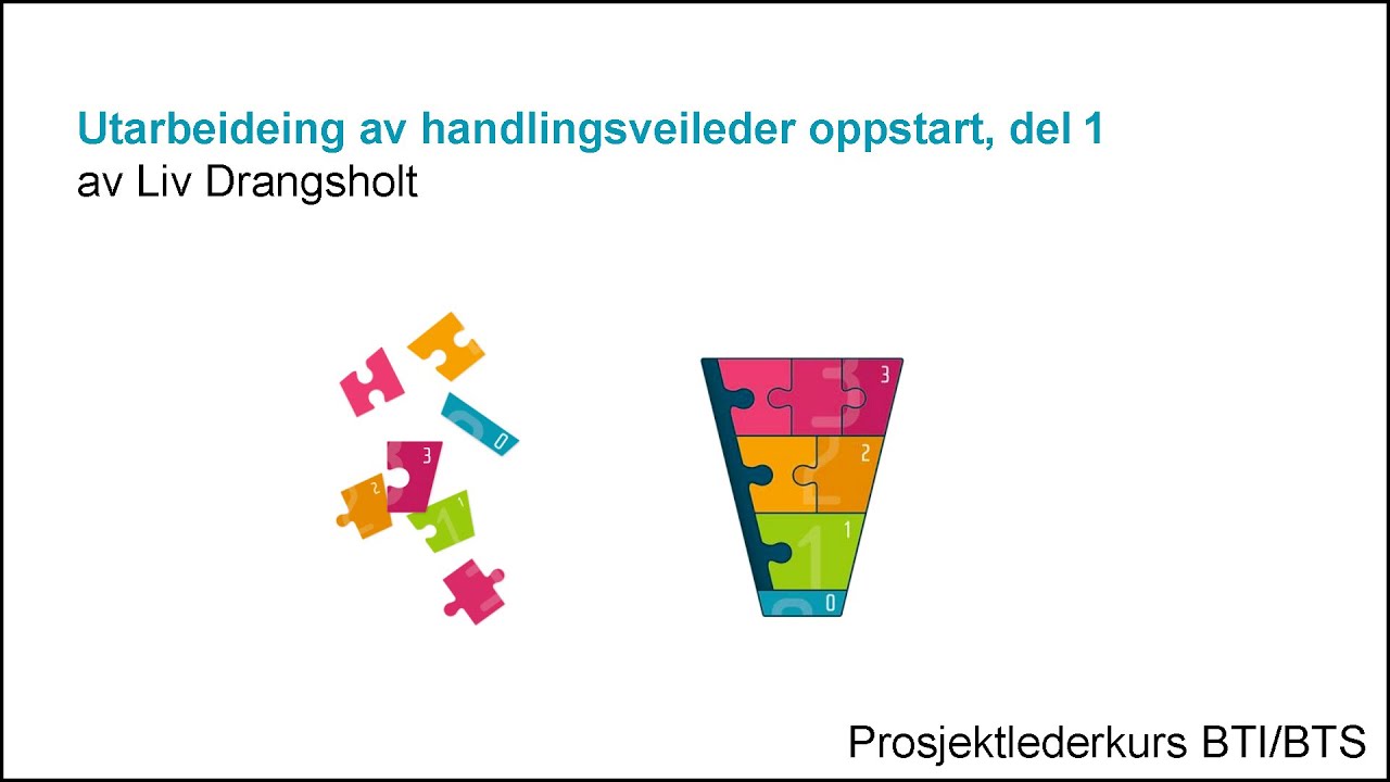 Liv Drangsholt - Utarbeiding av handlingsveileder del 1