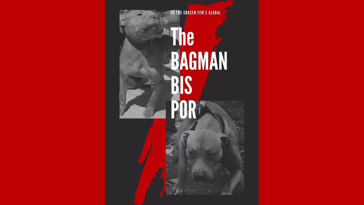 Champion The Bagman Article