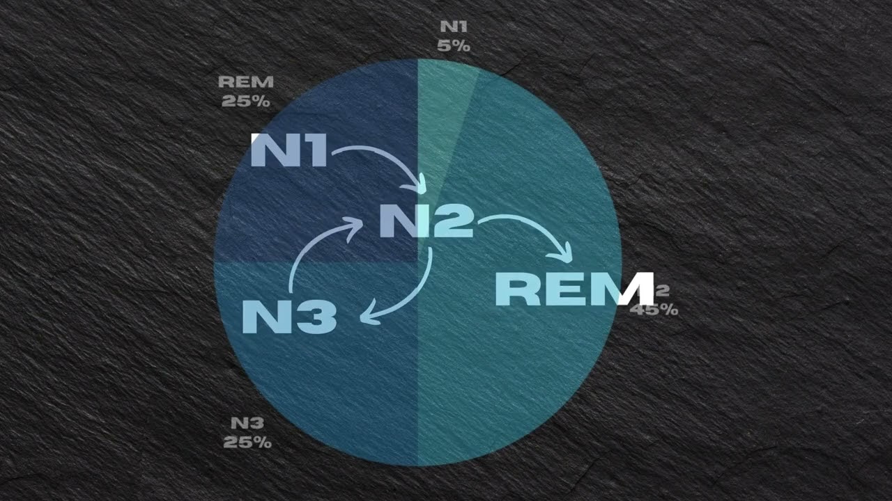 What Happens When We Sleep  - Akram Aallali, Jordi Colomo, Paula Haise, Bruno Rodríguez