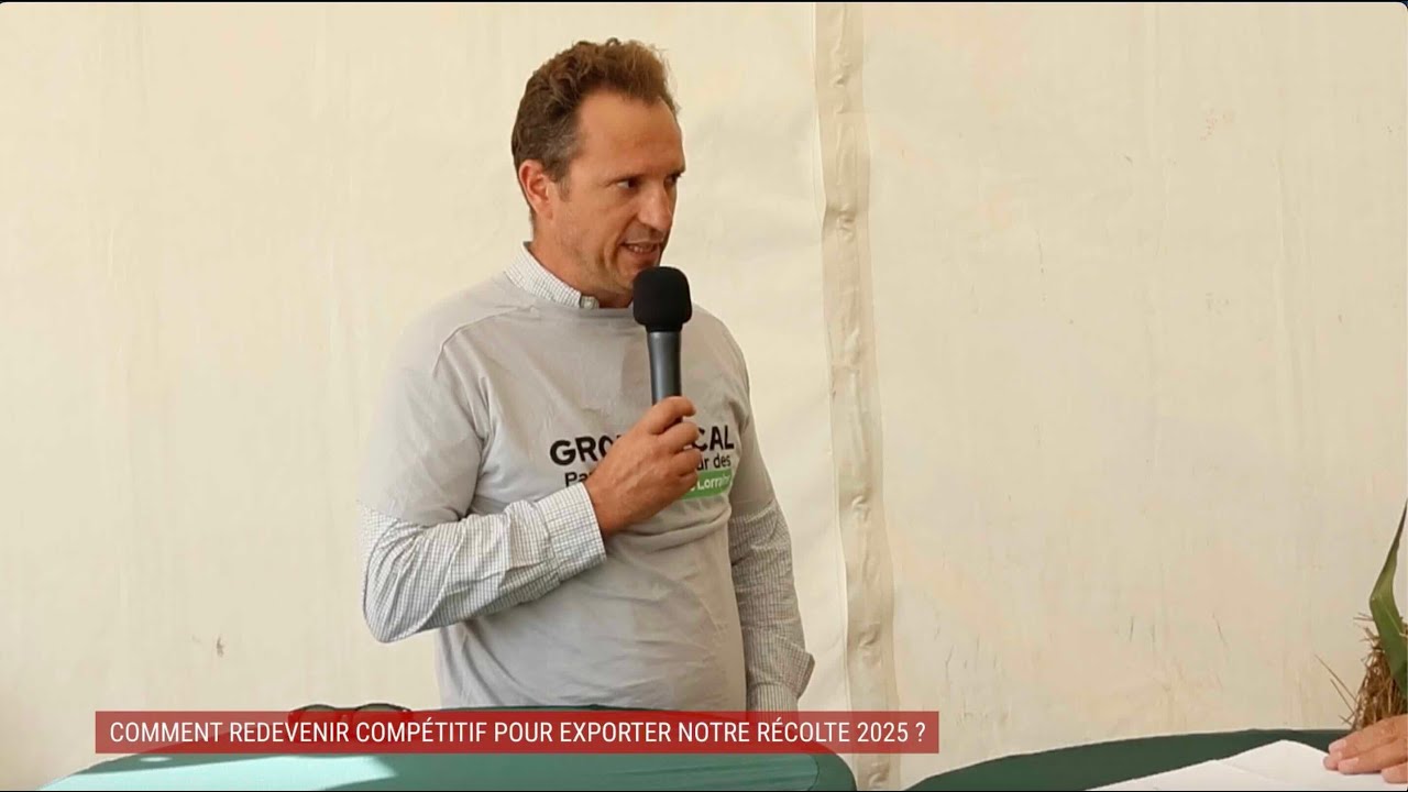 Comment redevenir compétitif pour exporter notre récolte 2025 ?