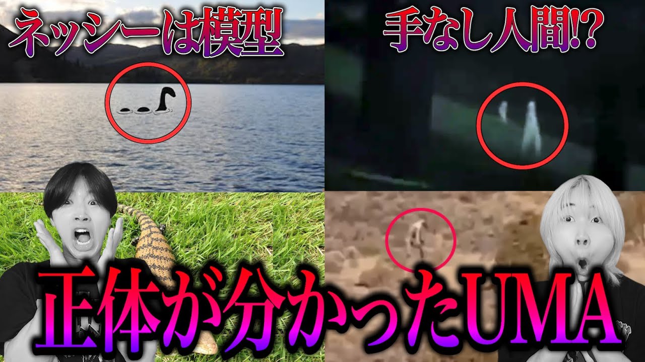 正体が判明してしまった未確認生物たちがヤバすぎる...