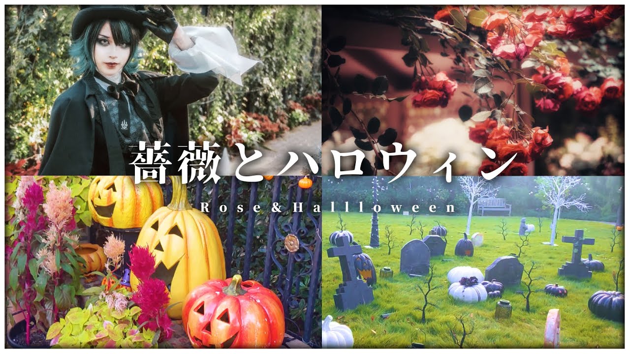 【ハロウィン】引きこもり、薔薇を観に行く【休日vlog】