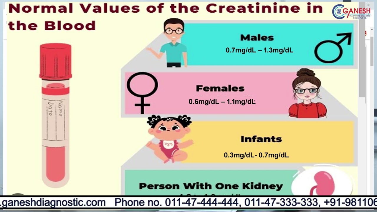 Creatinine Levels : Test, Prevention and Treatment | Ganesh Diagnostic