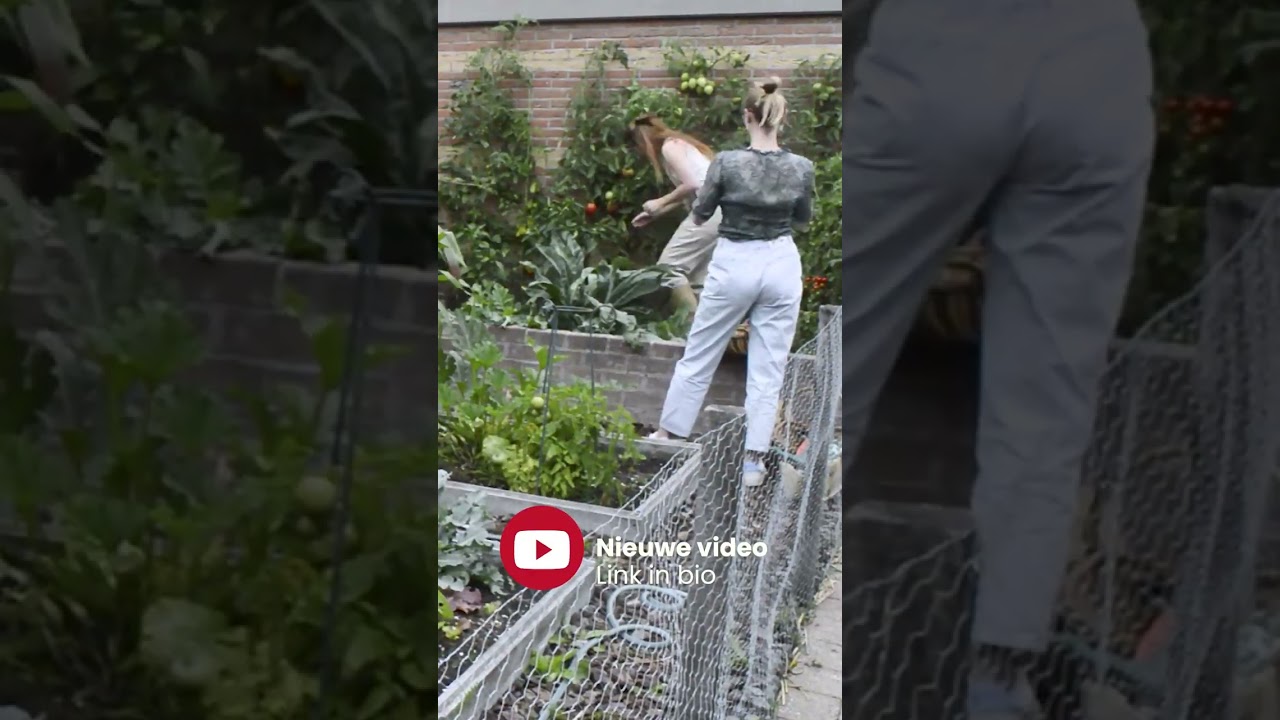 Augustus moestuin preview