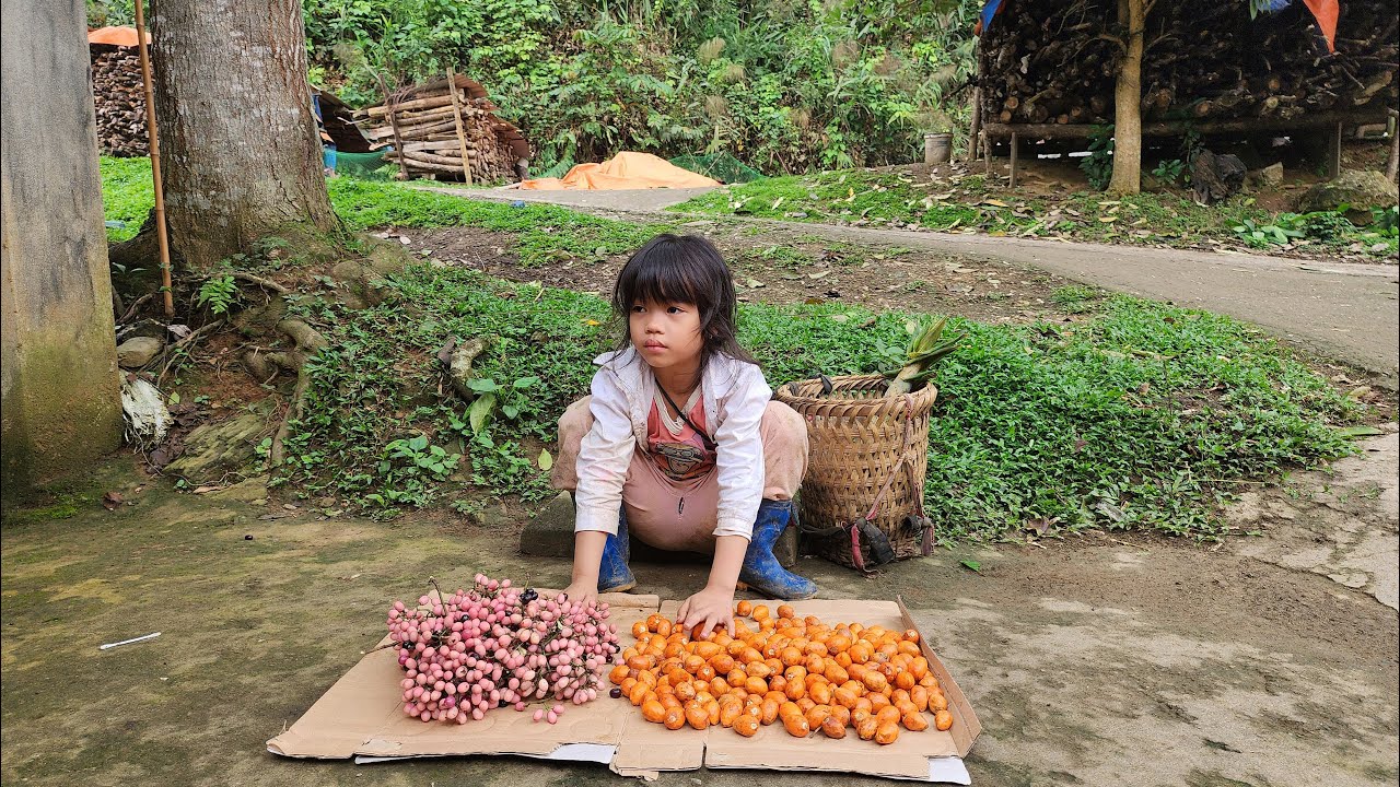 The poor girl went to the forest to pick chicken eggs and wild grapes to sell to make a living