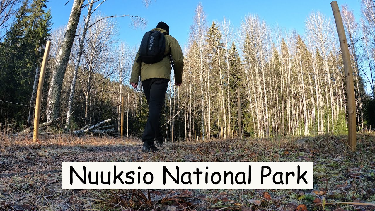 Hiking in Nuuksio National Park, Finland