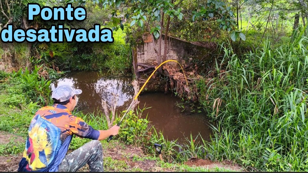 Essa ponte desativada me surpreendeu!!! 😱