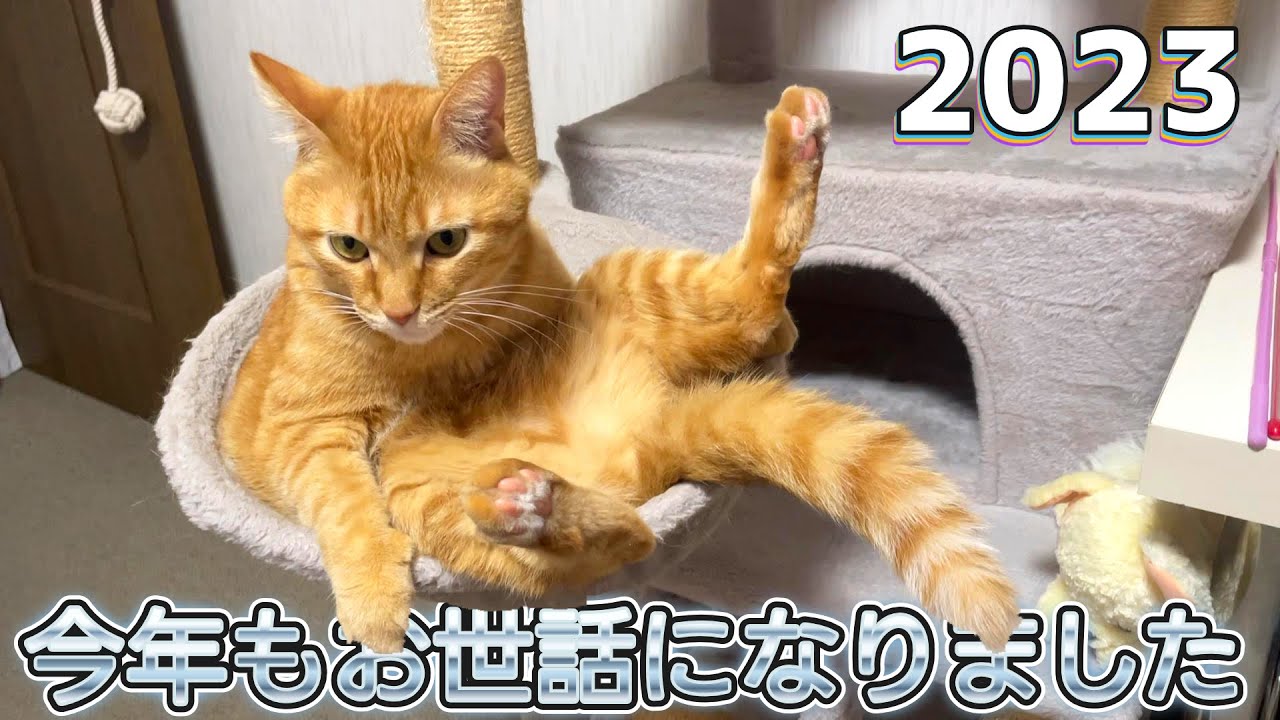 【2023】メリークリスマス＆良いお年を！