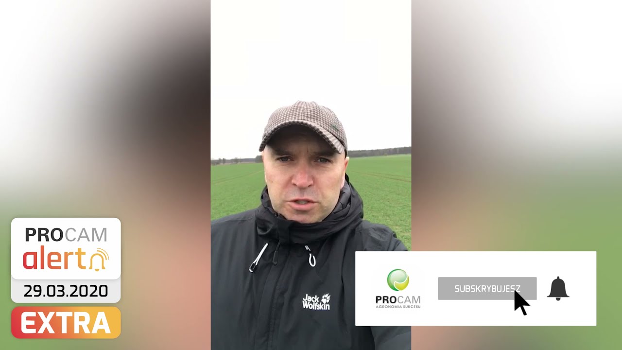 PROCAM Alert EXTRA - zabieg T0 #zboża2021