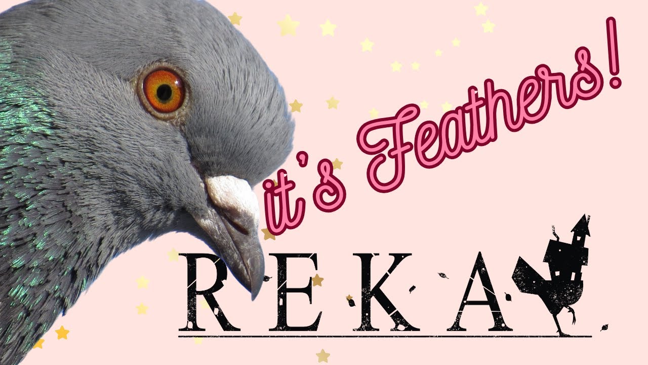 REKA - Part 2 - Feathers is 11?!