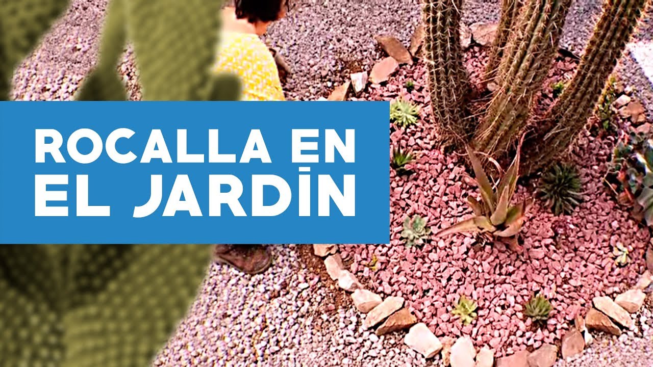 &iquest;C&oacute;mo recuperar jard&iacute;n de rocallas?