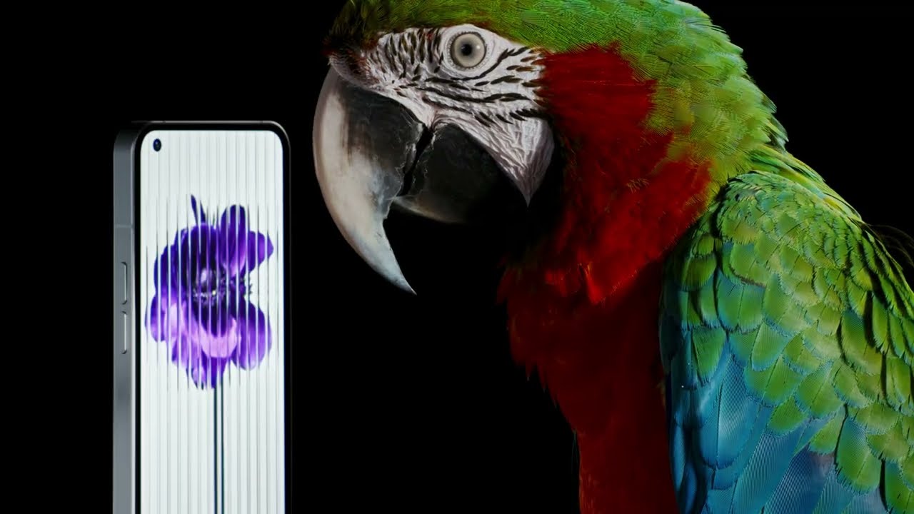 Phone (1). Pure instinct.