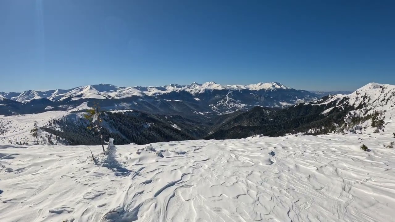 In Muntii Maramuresului.