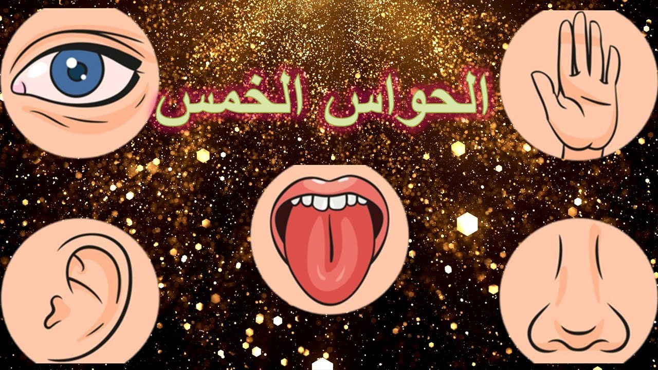 أنشودة الحواس الخمس