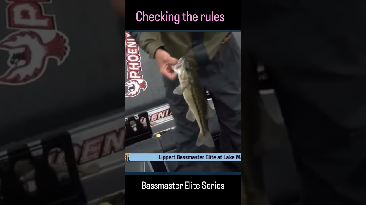 Accidental snag #fishing #tournamentfishing #bassmaster #livescope #bassfishing #foryou