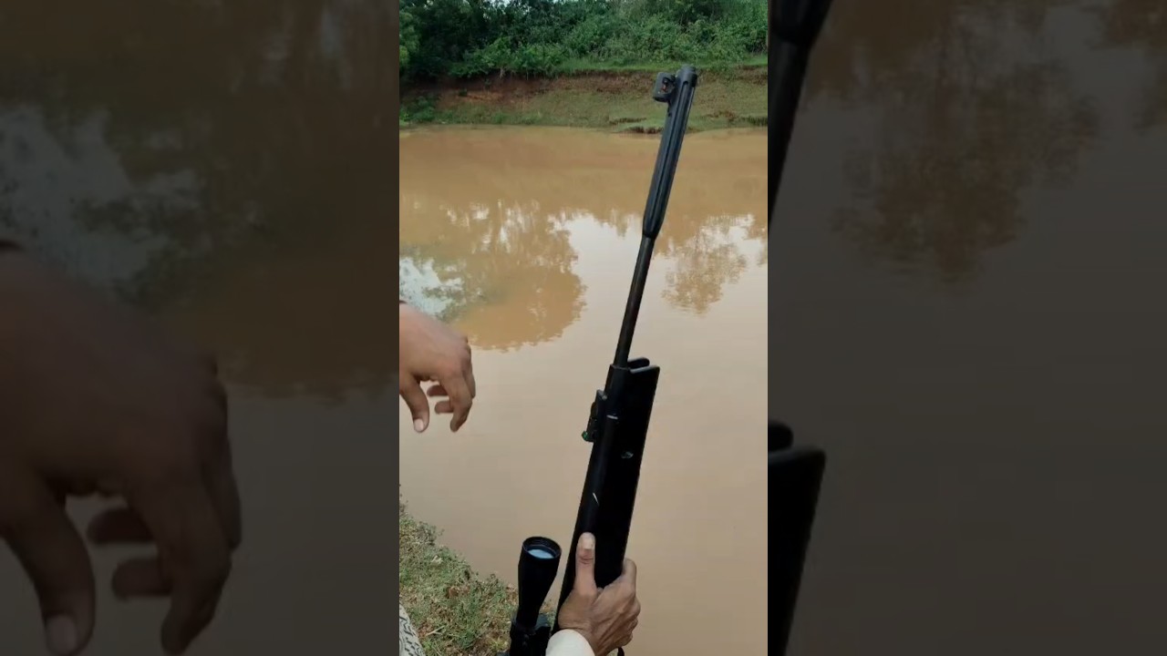 Shooting with pellet gun #pelletguns #airrifleshooting #trending #ytshorts