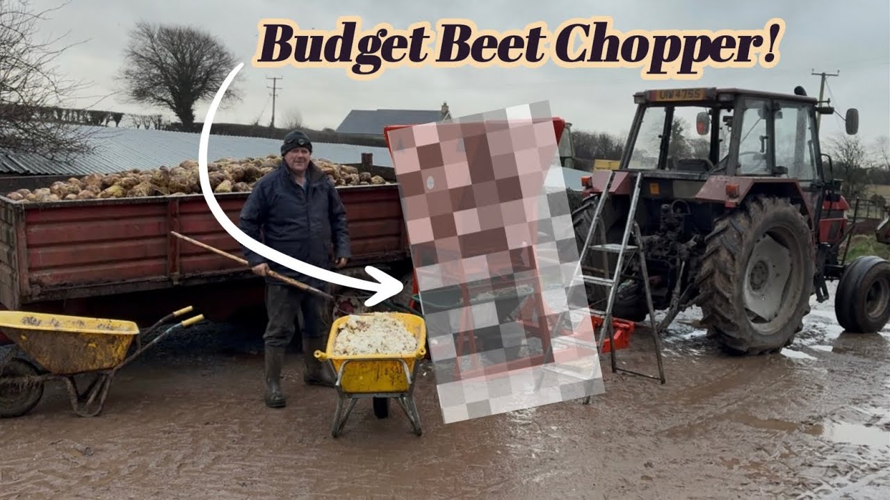 Making a Beet Chopper from scrap!